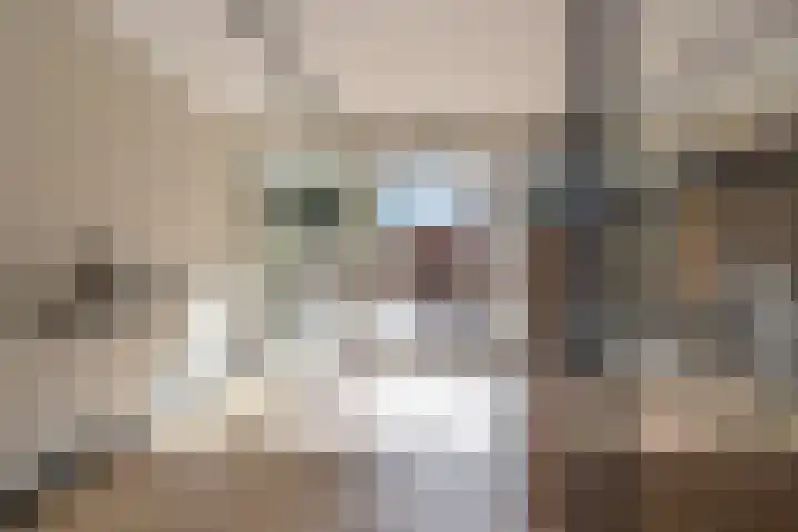 Vermeerstraat 18 Bleiswijk thumbnail 5