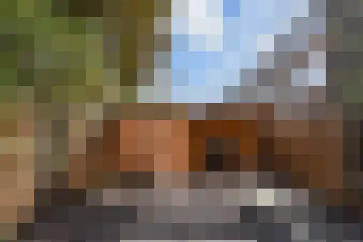 Vermeerstraat 18 Bleiswijk thumbnail 50