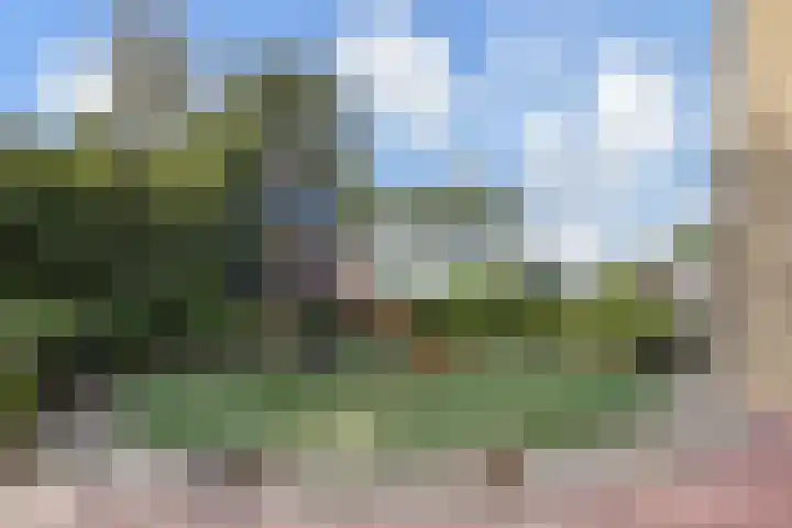 Vermeerstraat 18 Bleiswijk thumbnail 51