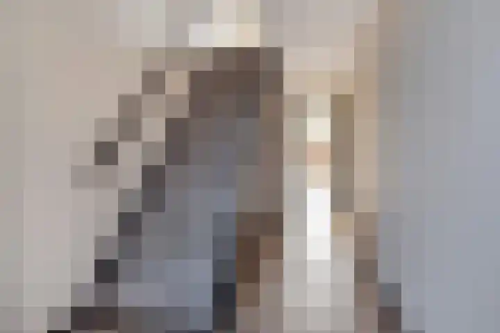 Vermeerstraat 18 Bleiswijk thumbnail 8