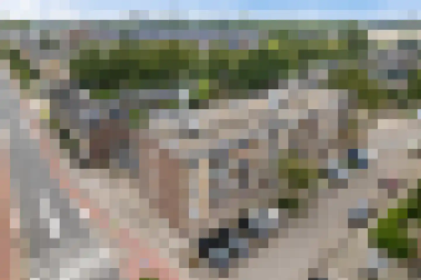 Vermeerstraat 18 Zoetermeer thumbnail 12