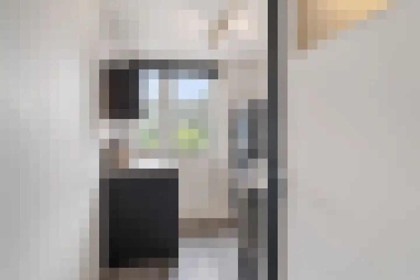 Vermeerstraat 18 Zoetermeer thumbnail 24