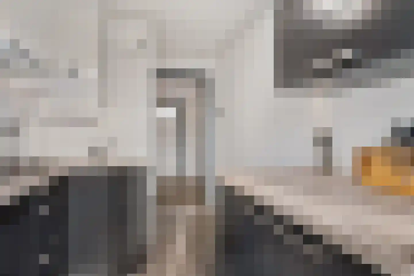 Vermeerstraat 18 Zoetermeer thumbnail 25
