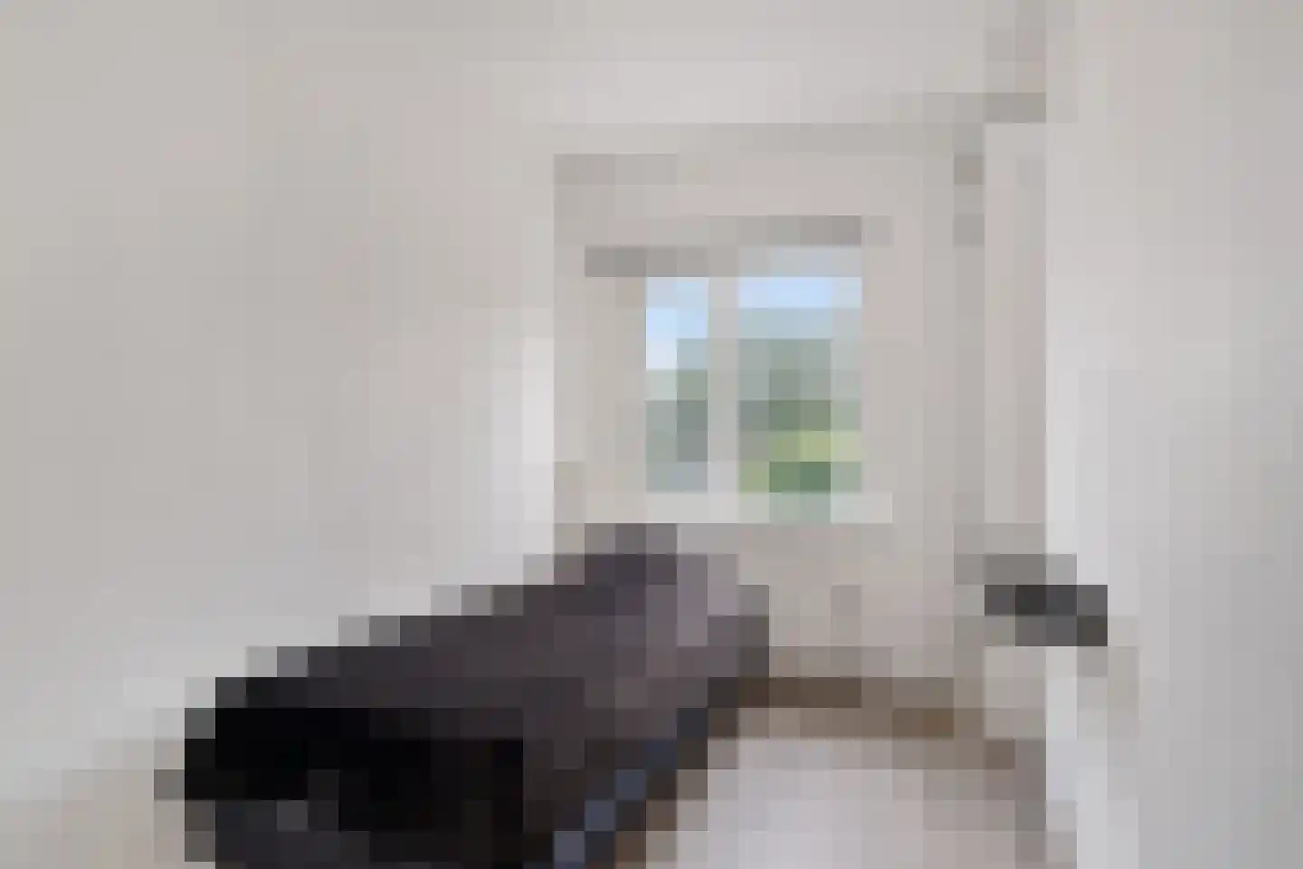 Vermeerstraat 18 Zoetermeer thumbnail 26
