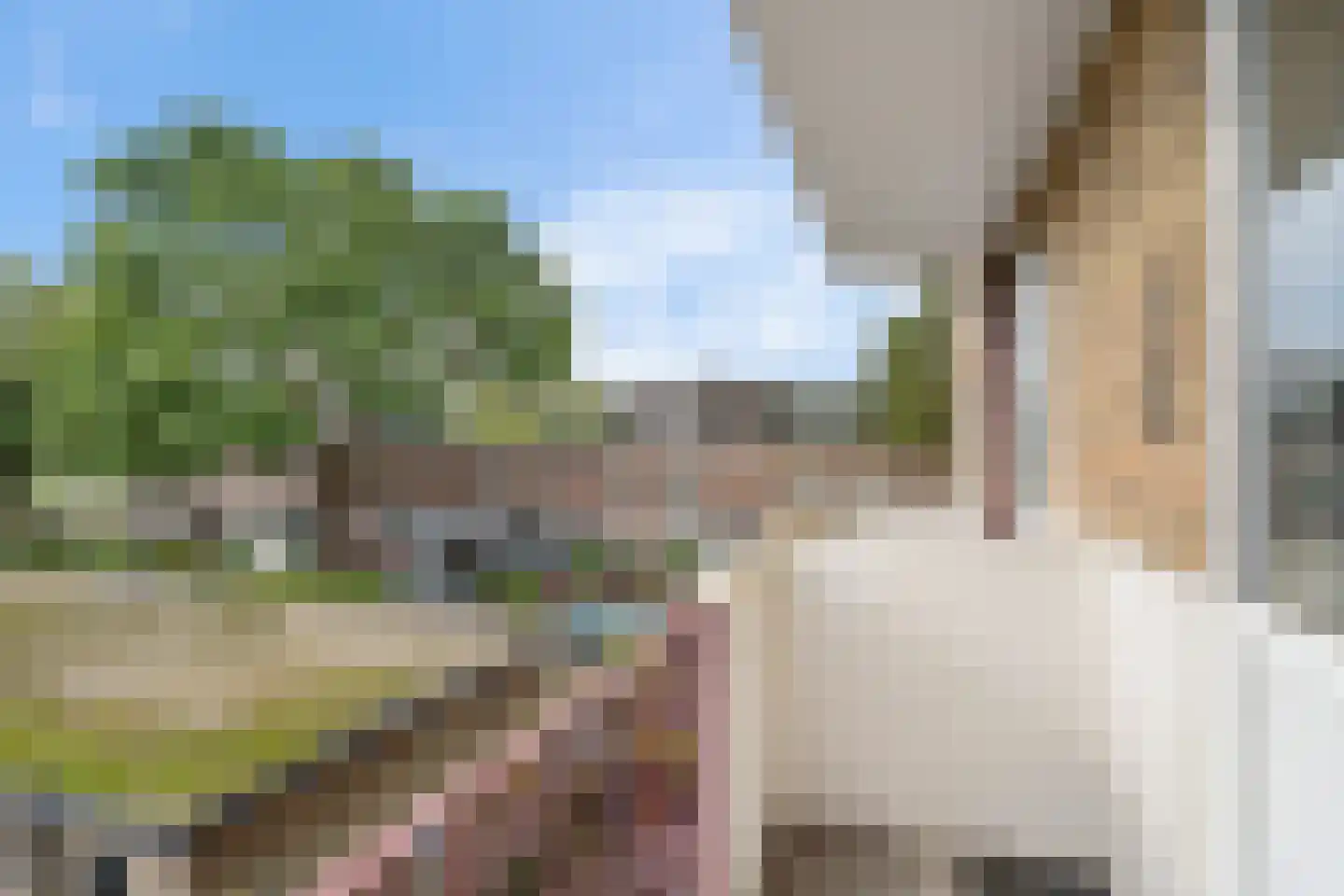 Vermeerstraat 18 Zoetermeer thumbnail 35