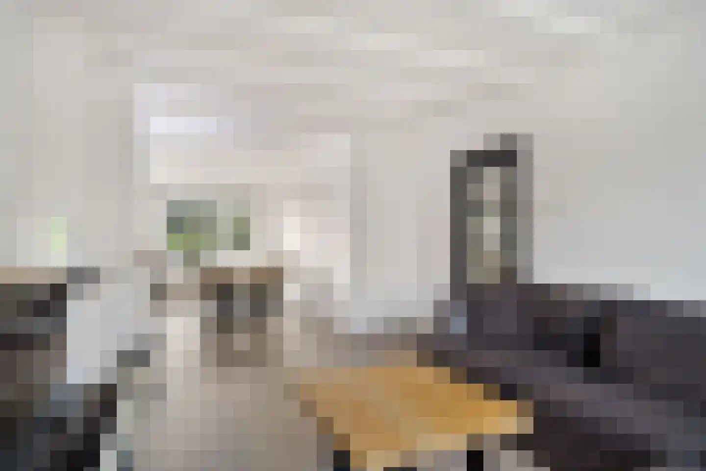 Vermeerstraat 18 Zoetermeer thumbnail 4