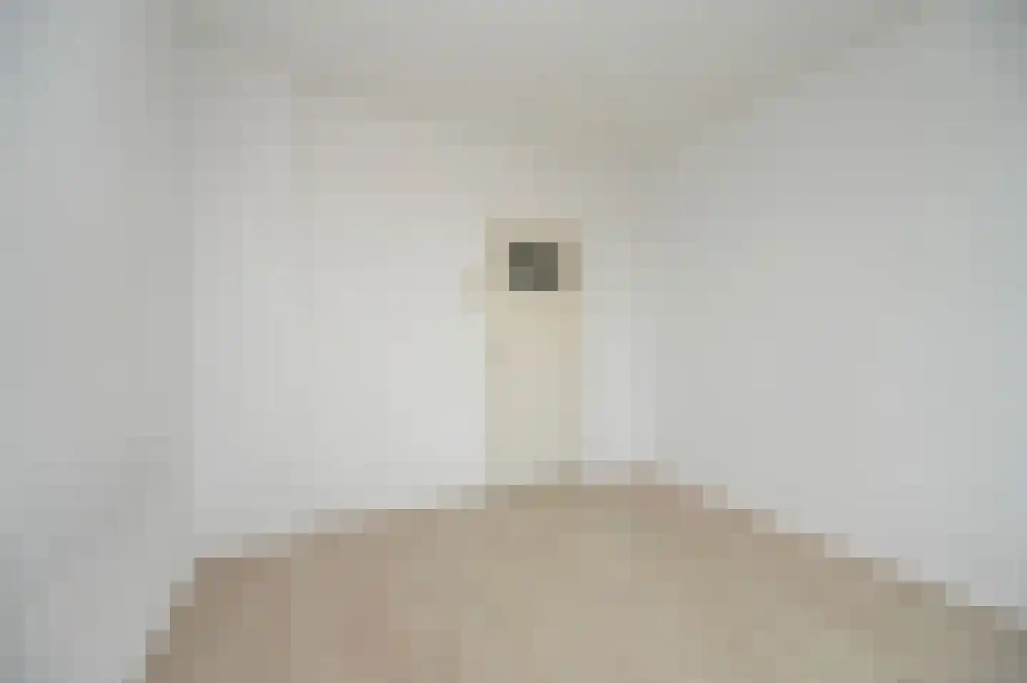Vermeerstraat 19 Zoetermeer thumbnail 10