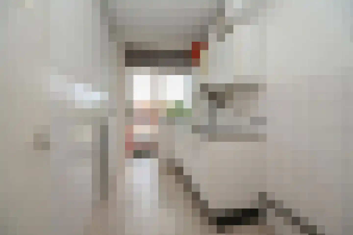 Vermeerstraat 19 Zoetermeer thumbnail 4
