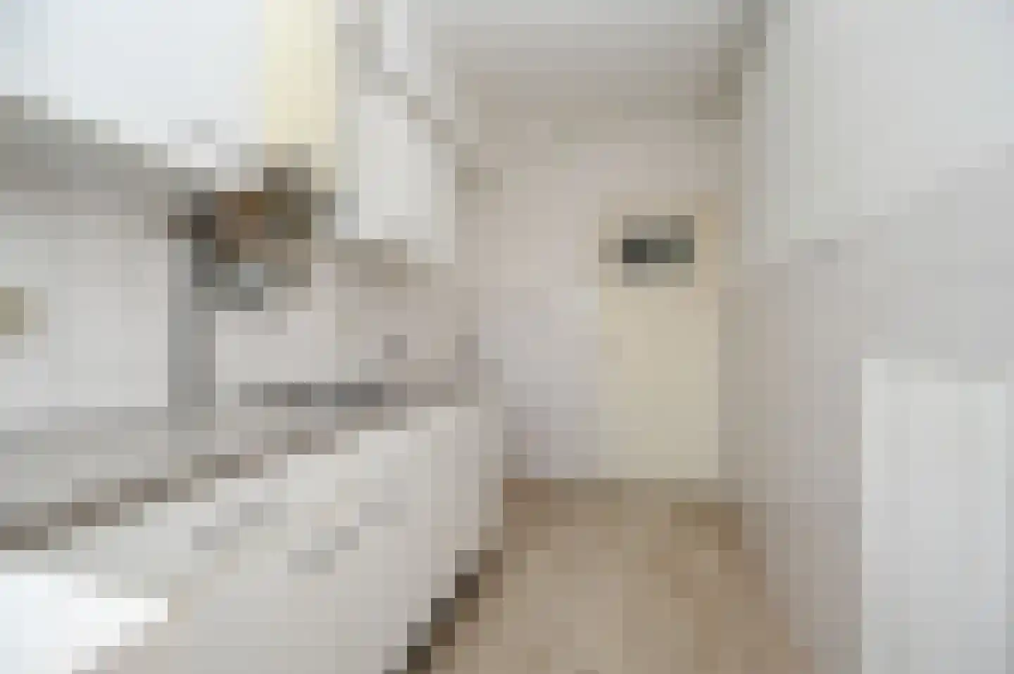 Vermeerstraat 19 Zoetermeer thumbnail 5