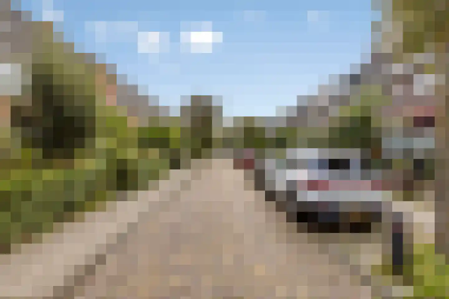 Vermeerstraat 2 C Alkmaar thumbnail 21