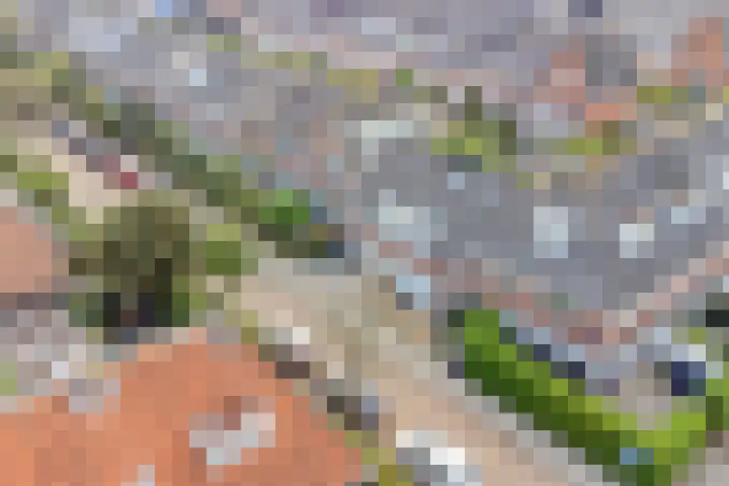Vermeerstraat 2 C Alkmaar thumbnail 24