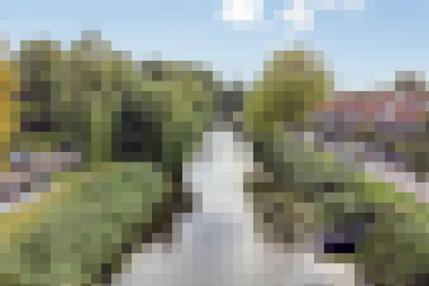 Vermeerstraat 2 C Alkmaar thumbnail 28