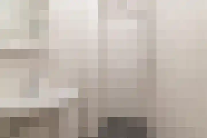 Vermeerstraat 21 Zoetermeer thumbnail 14
