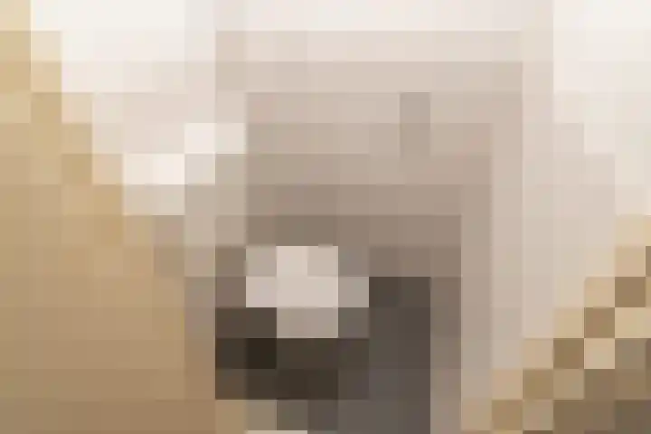 Vermeerstraat 21 Zoetermeer thumbnail 15