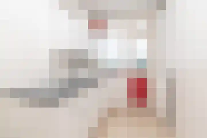 Vermeerstraat 21 Zoetermeer thumbnail 4