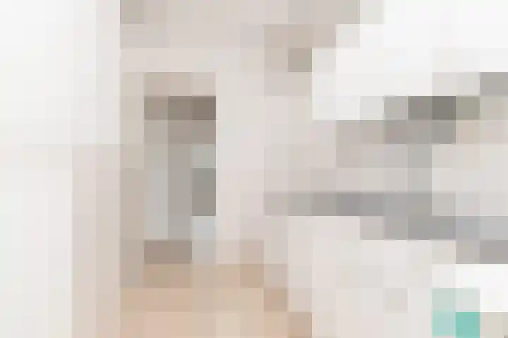 Vermeerstraat 21 Zoetermeer thumbnail 5