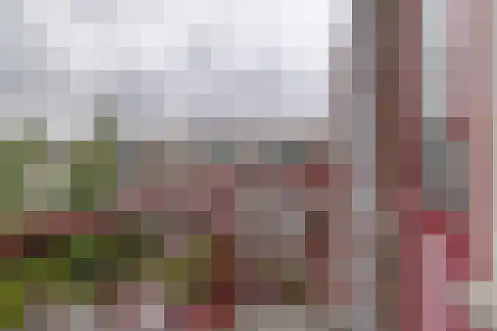 Vermeerstraat 21 Zoetermeer thumbnail 7