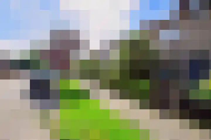 Vermeerstraat 22 Zaltbommel thumbnail 7