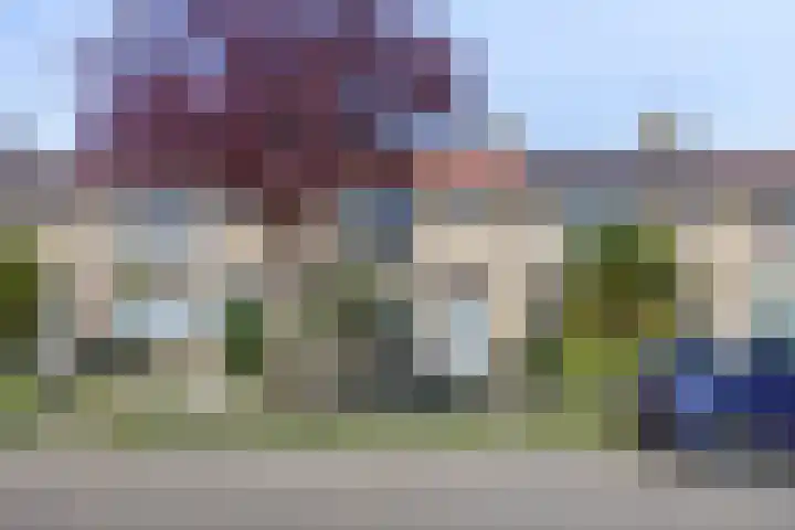Vermeerstraat 24 Zaltbommel thumbnail 30