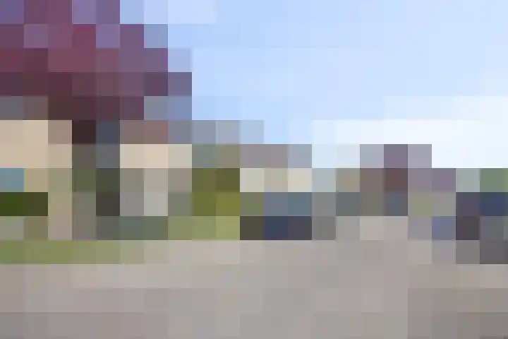 Vermeerstraat 24 Zaltbommel thumbnail 4