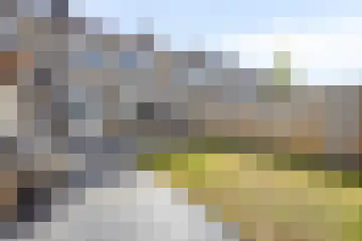 Vermeerstraat 24 Zaltbommel thumbnail 5