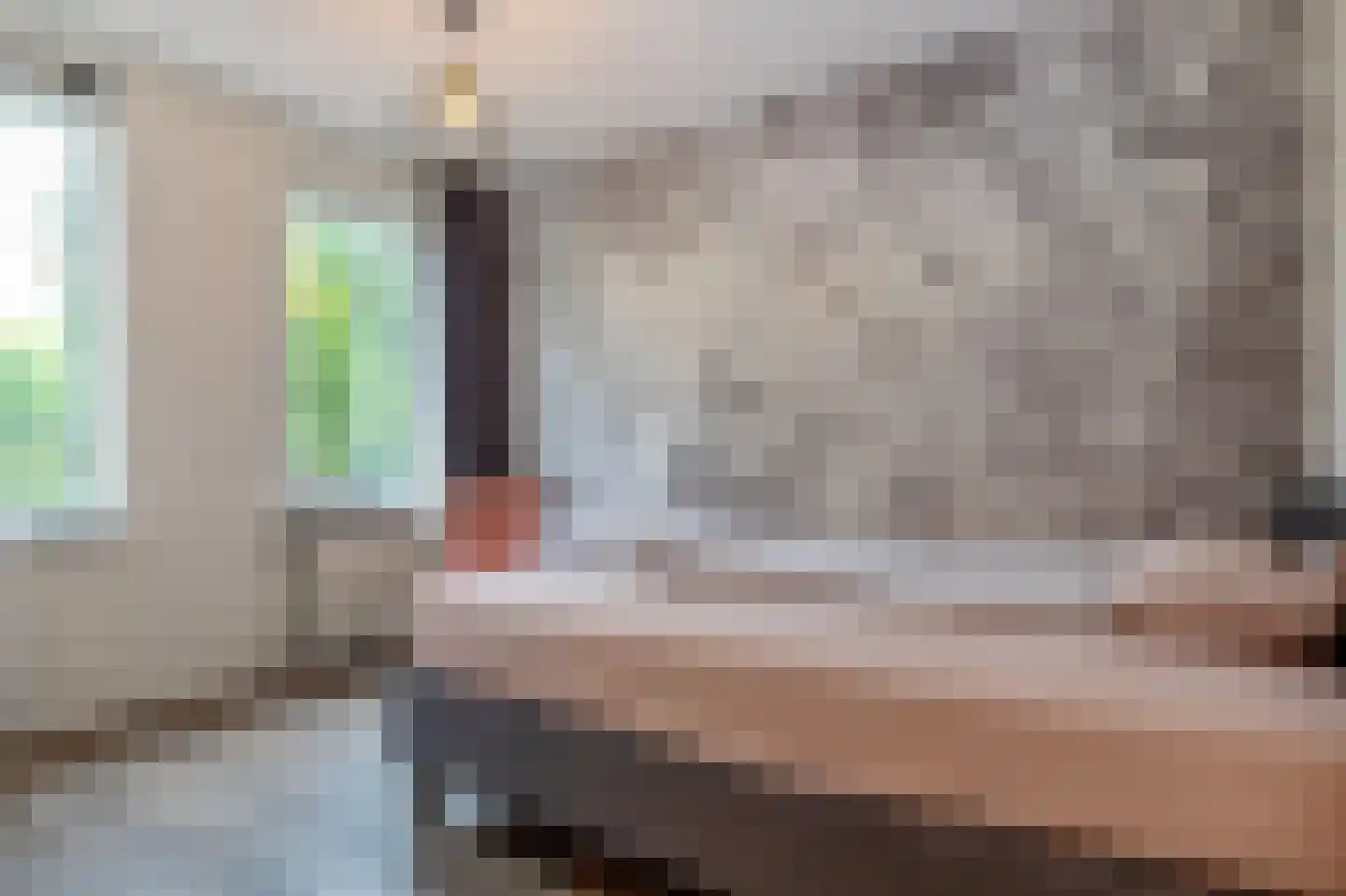 Vermeerstraat 26 Steenwijk thumbnail 23