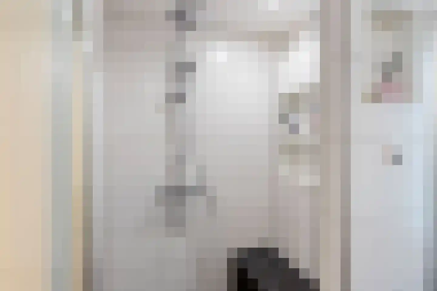 Vermeerstraat 26 Steenwijk thumbnail 27