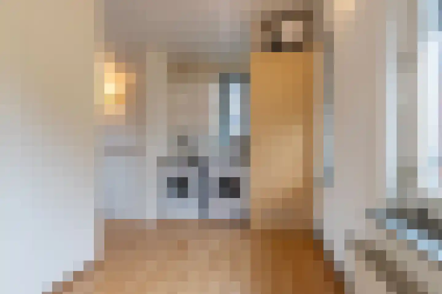 Vermeerstraat 26 Steenwijk thumbnail 32