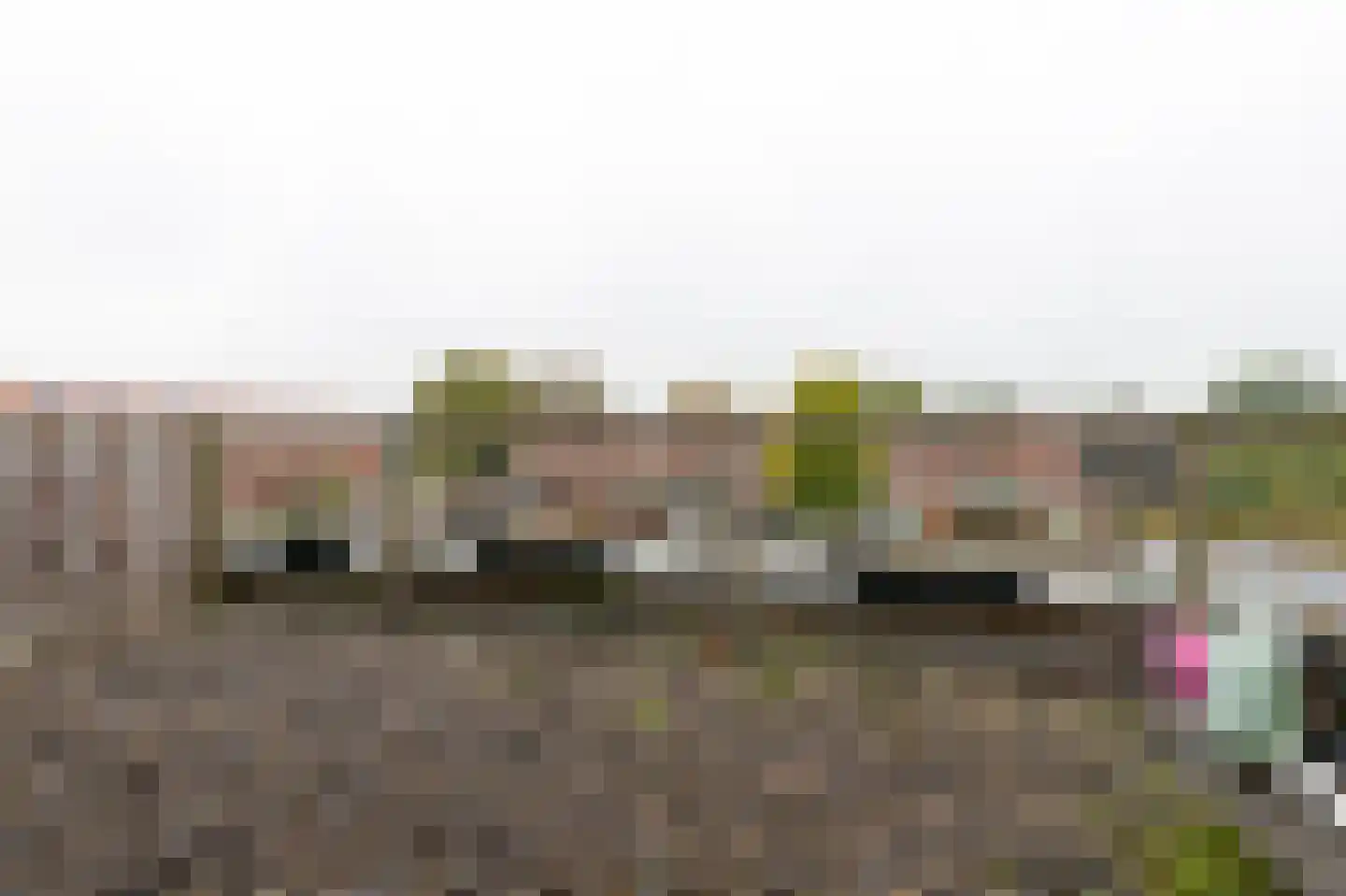 Vermeerstraat 26 Steenwijk thumbnail 34