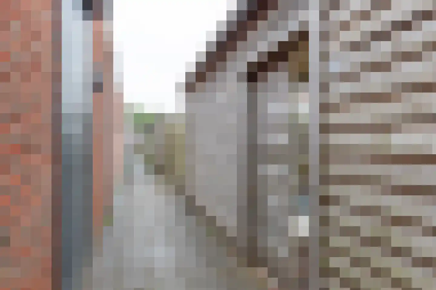 Vermeerstraat 26 Steenwijk thumbnail 45