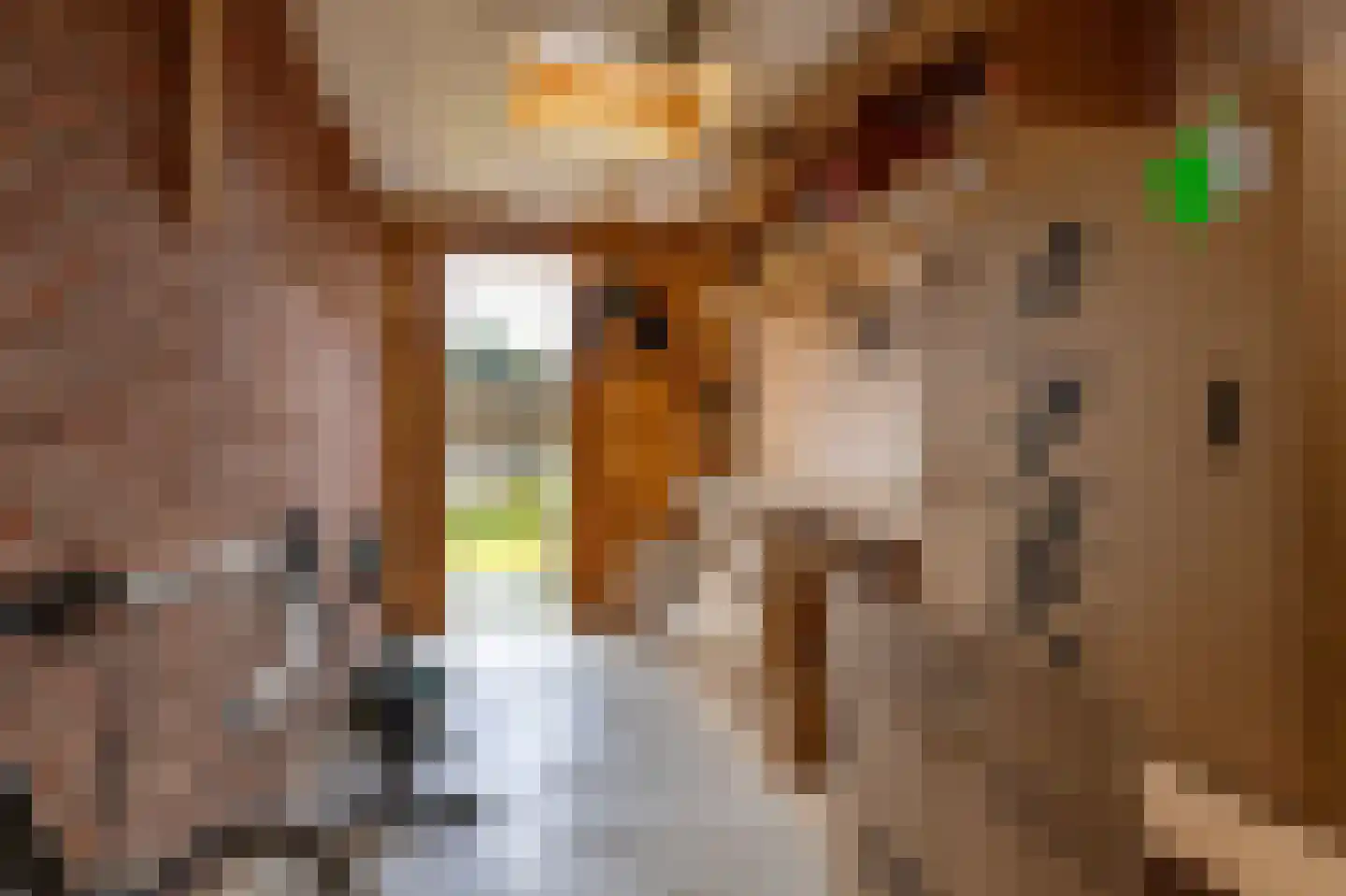 Vermeerstraat 26 Steenwijk thumbnail 49