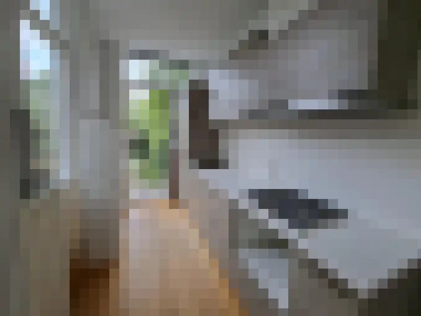 Vermeerstraat 27 Delft thumbnail 5