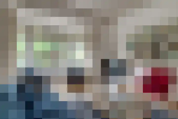 Vermeerstraat 3 Nijmegen thumbnail 12