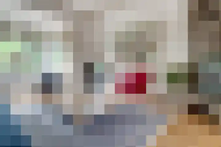 Vermeerstraat 3 Nijmegen thumbnail 14