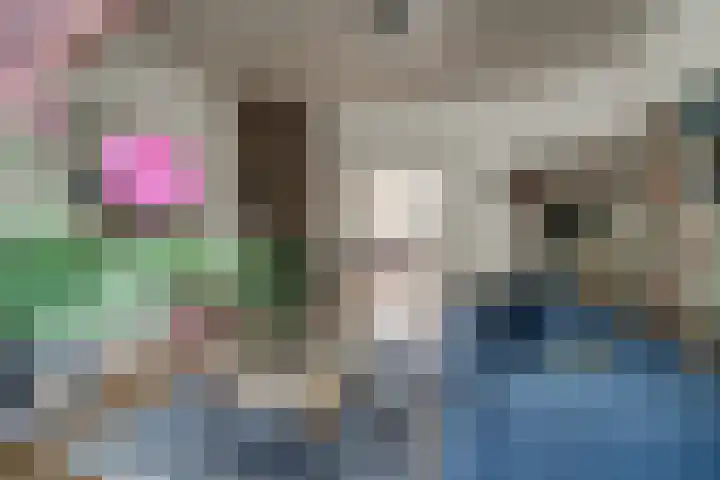Vermeerstraat 3 Nijmegen thumbnail 15