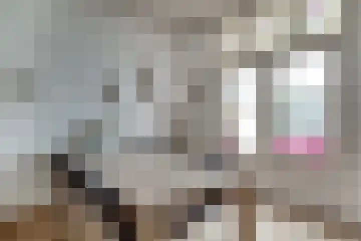 Vermeerstraat 3 Nijmegen thumbnail 20
