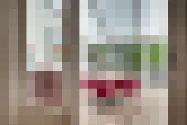 Vermeerstraat 3 Nijmegen thumbnail 21