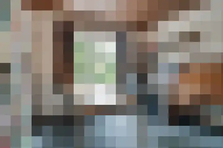 Vermeerstraat 3 Nijmegen thumbnail 38