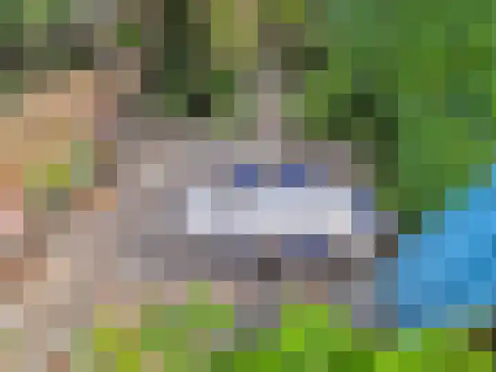 Vermeerstraat 3 Nijmegen thumbnail 5