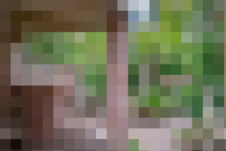 Vermeerstraat 3 Nijmegen thumbnail 60