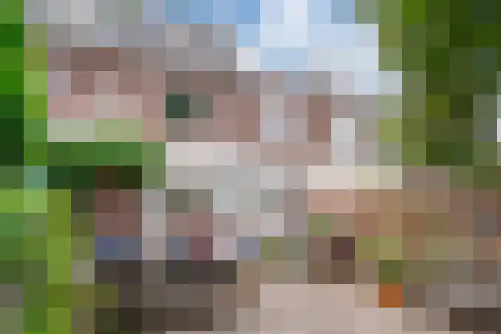Vermeerstraat 3 Nijmegen thumbnail 62