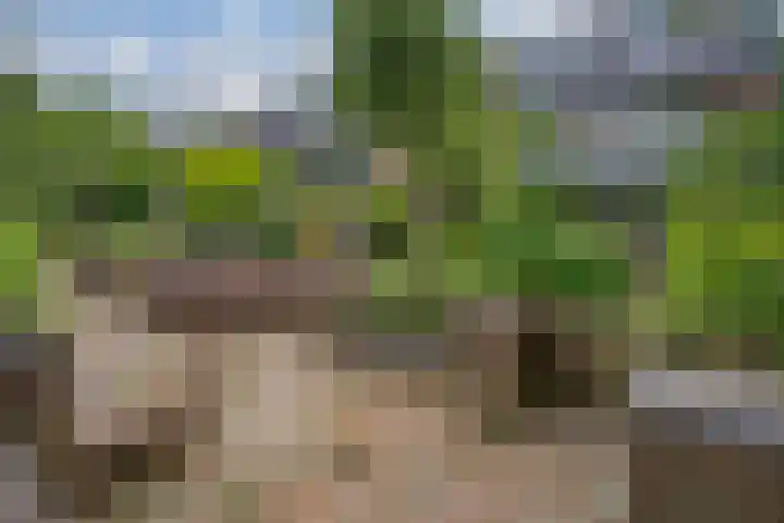 Vermeerstraat 3 Nijmegen thumbnail 67