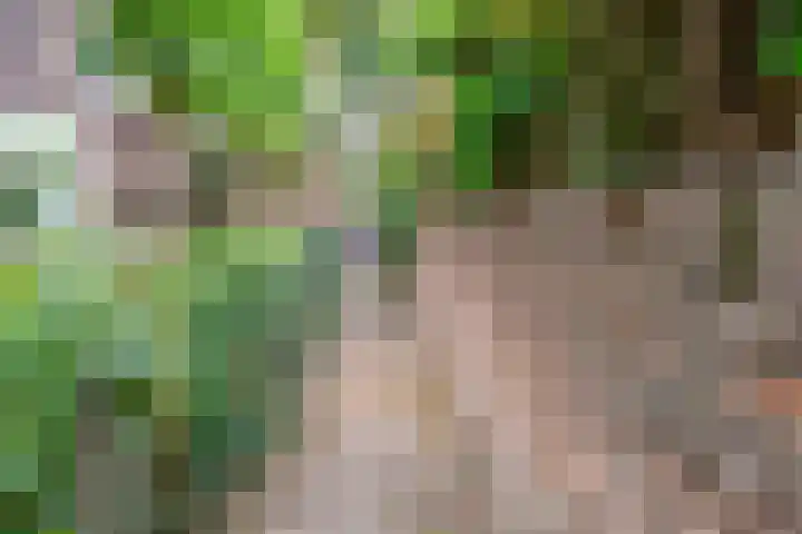 Vermeerstraat 3 Nijmegen thumbnail 68