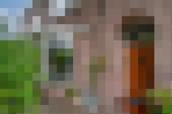 Vermeerstraat 3 Nijmegen thumbnail 7