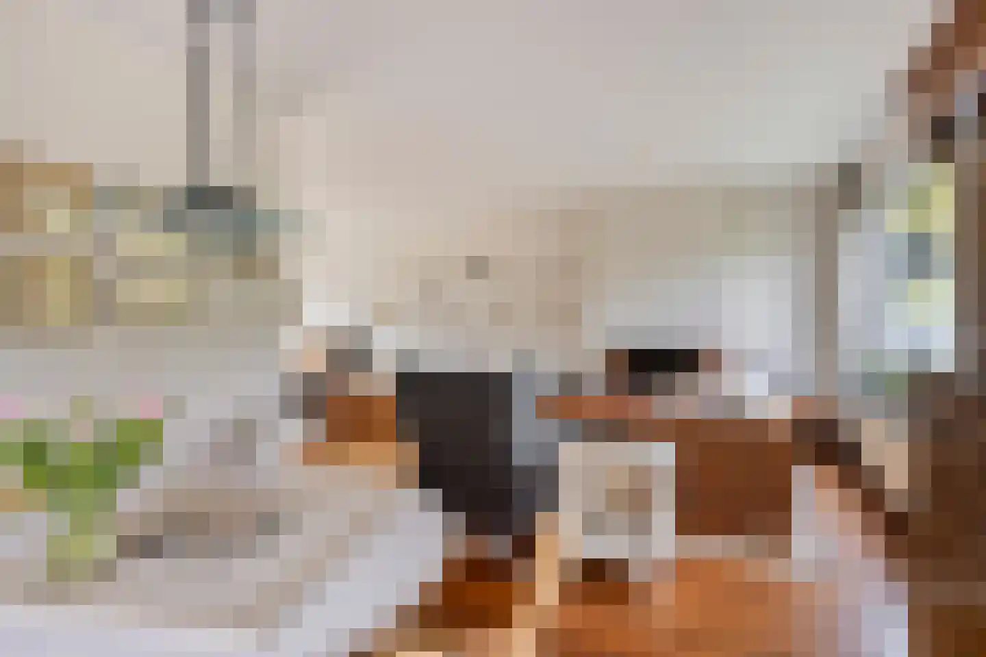 Vermeerstraat 3 Son en Breugel thumbnail 10
