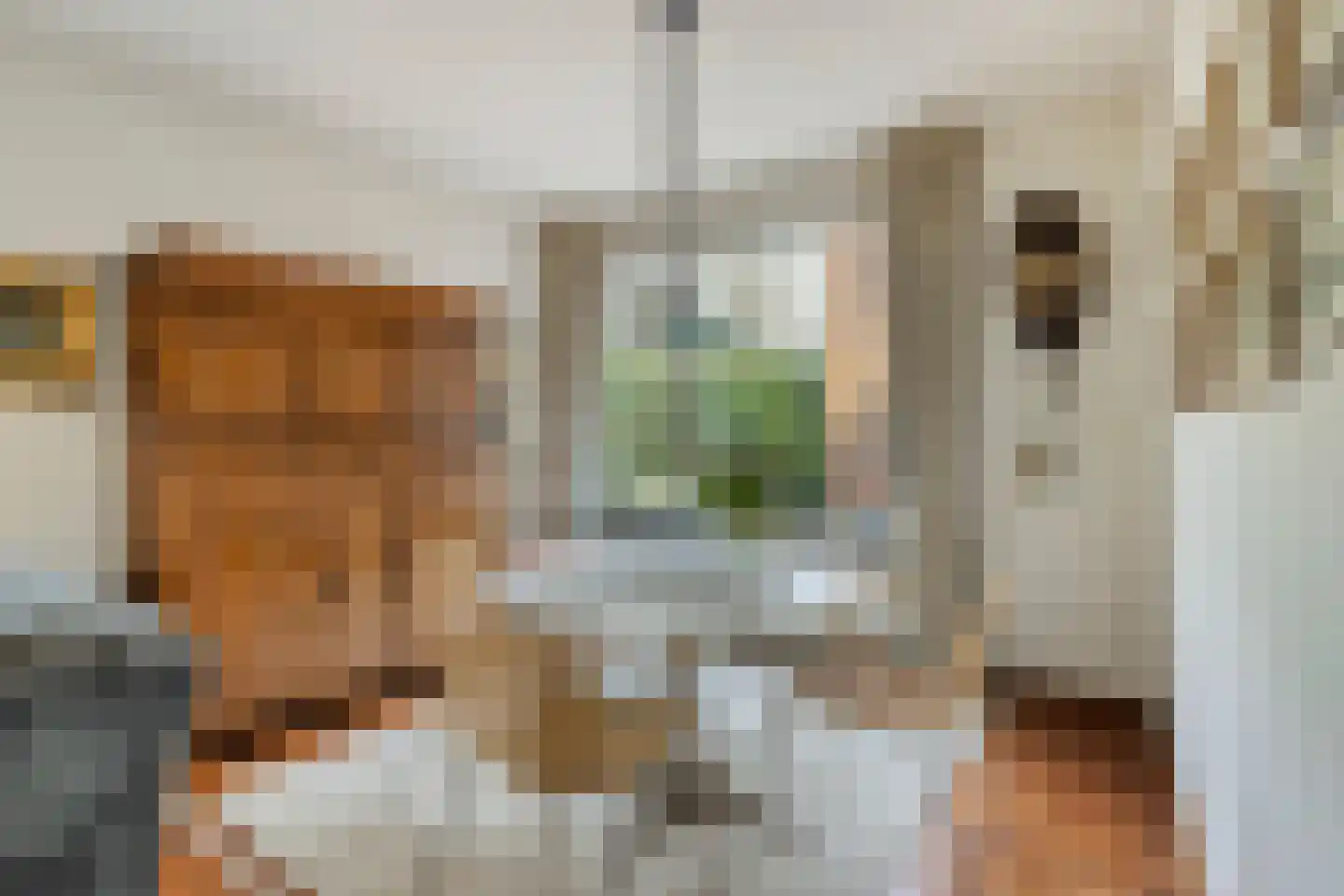 Vermeerstraat 3 Son en Breugel thumbnail 12