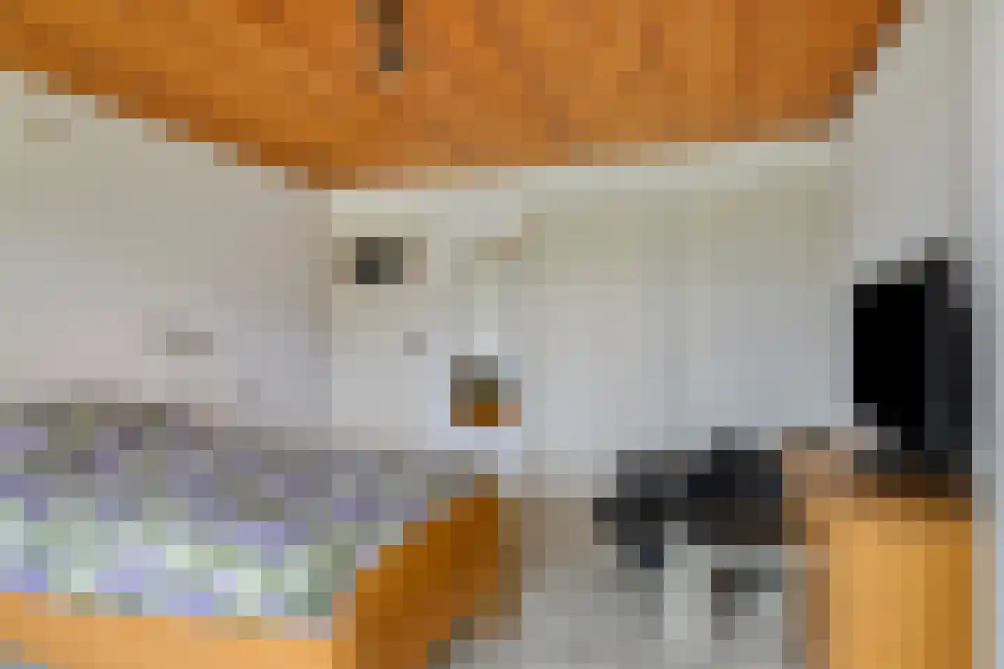 Vermeerstraat 3 Son en Breugel thumbnail 23