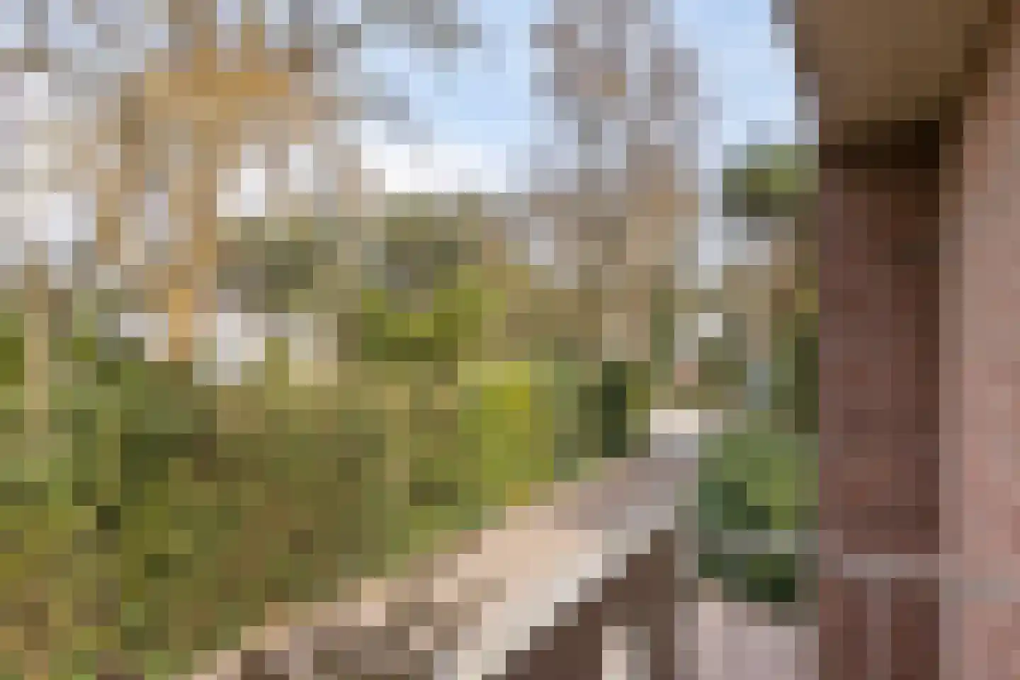 Vermeerstraat 3 Son en Breugel thumbnail 24