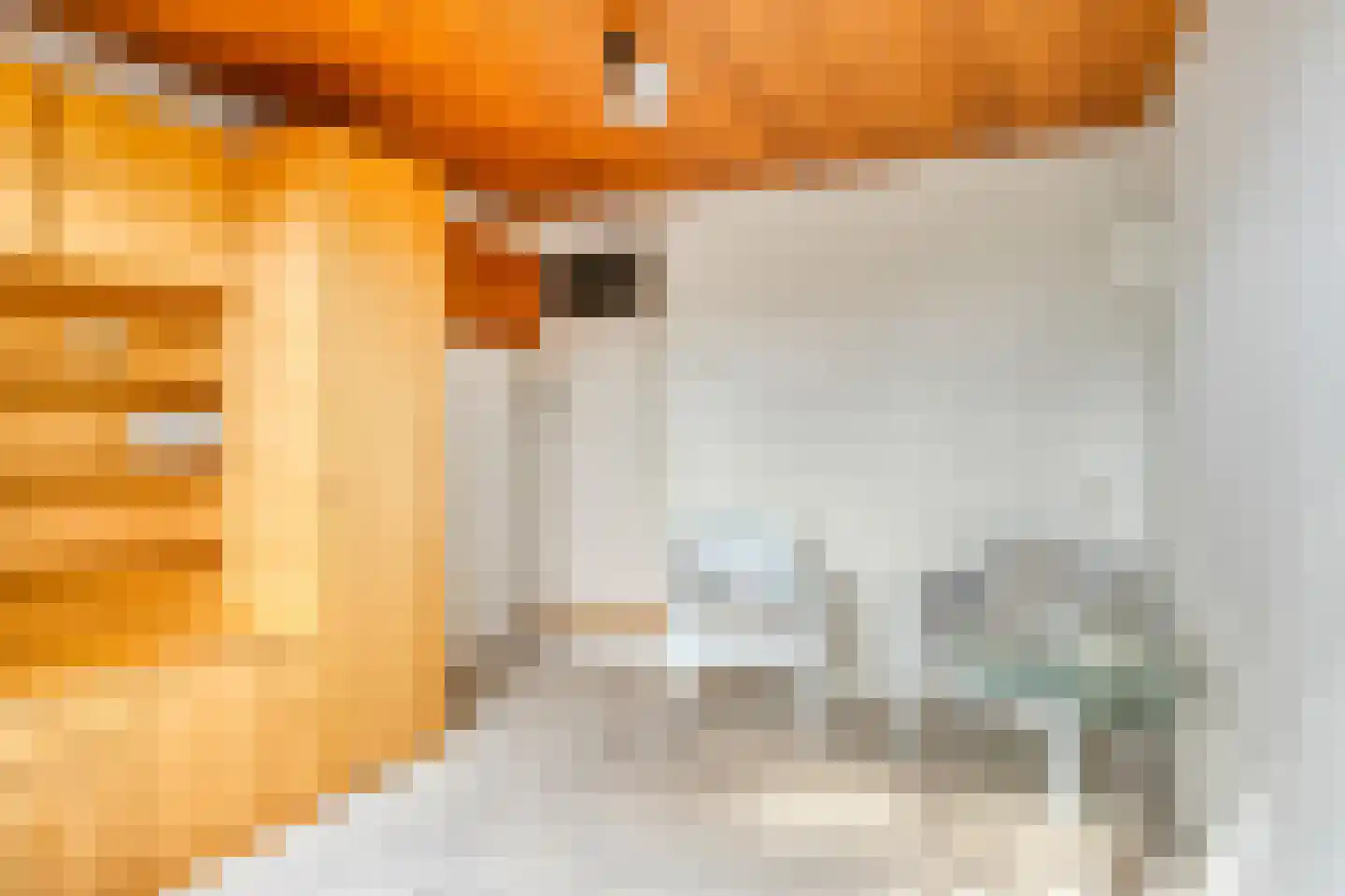 Vermeerstraat 3 Son en Breugel thumbnail 30