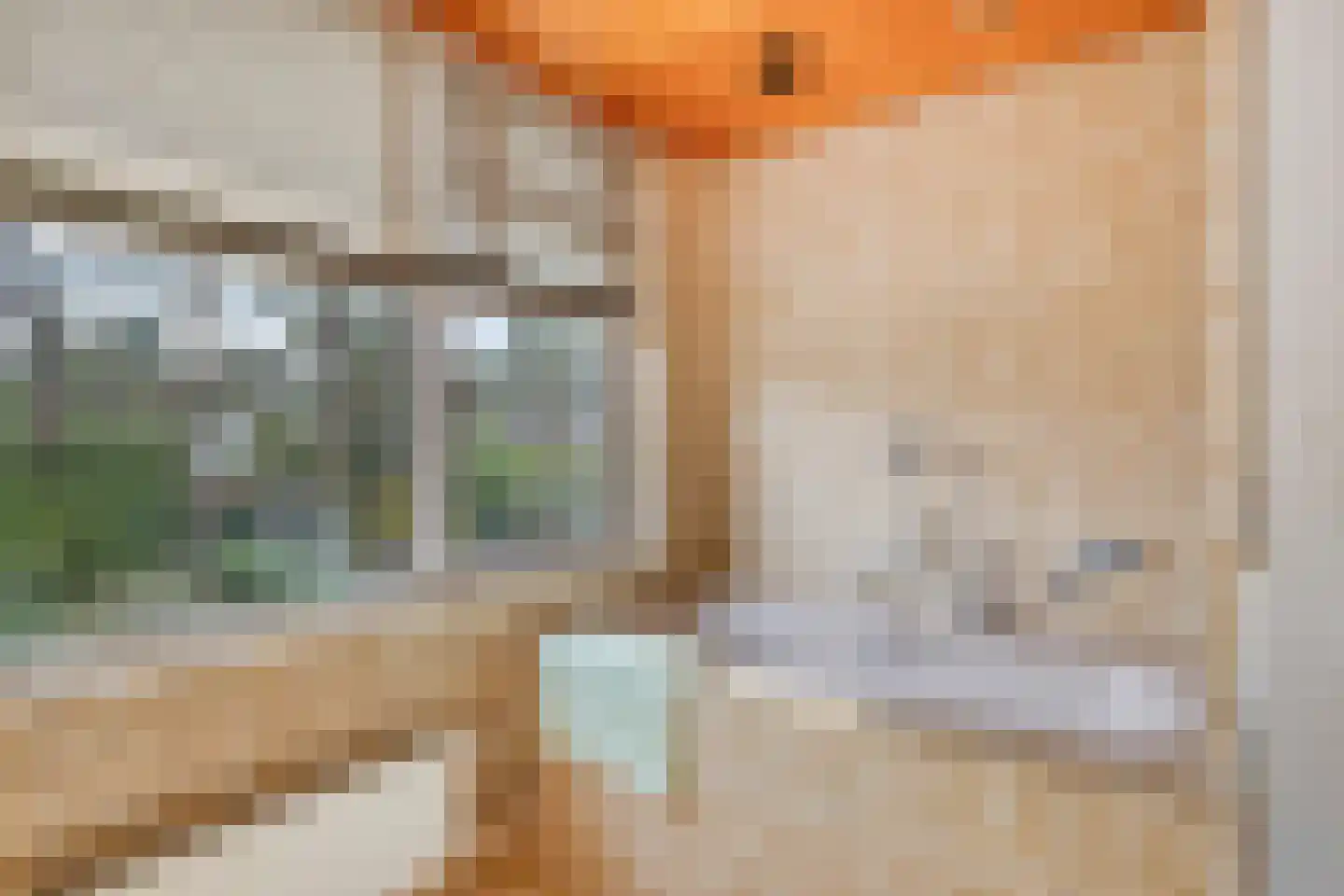 Vermeerstraat 3 Son en Breugel thumbnail 33